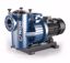 Kép PEDROLLO MAXIMA-4 1000 50HZ 400/690V (BRONCE)